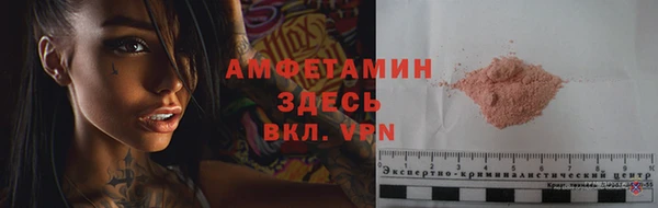 прущие грибы Нея