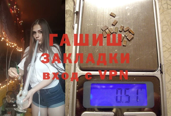 прущие грибы Новозыбков