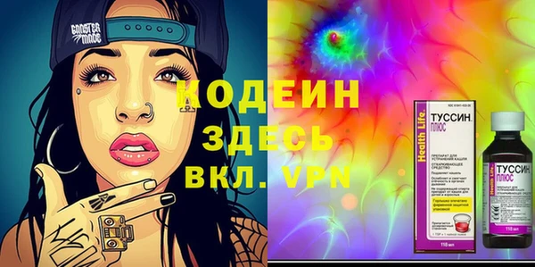 прущие грибы Новозыбков