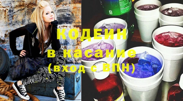 прущие грибы Новозыбков