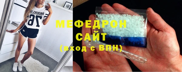 прущие грибы Новозыбков
