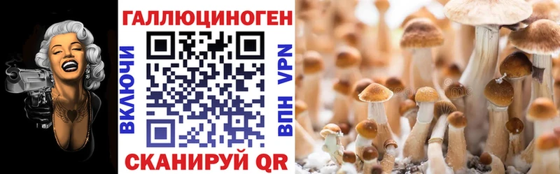 Псилоцибиновые грибы Magic Shrooms Поворино