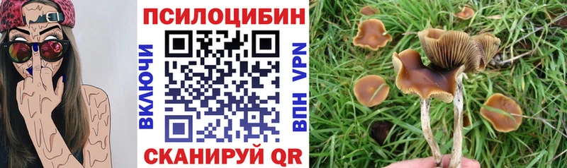 Галлюциногенные грибы GOLDEN TEACHER Поворино